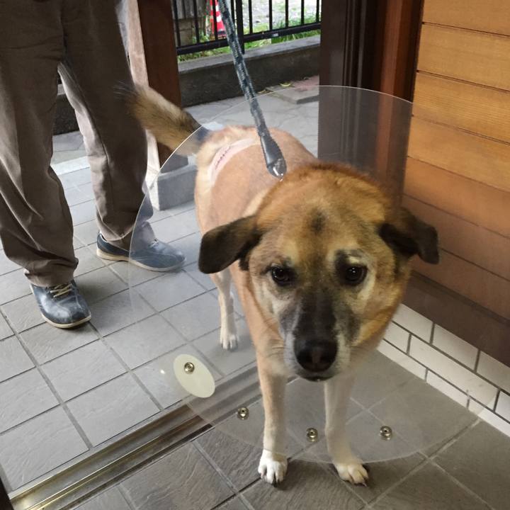 911df97a 6889 4035 b5da cdcb8491a7c0