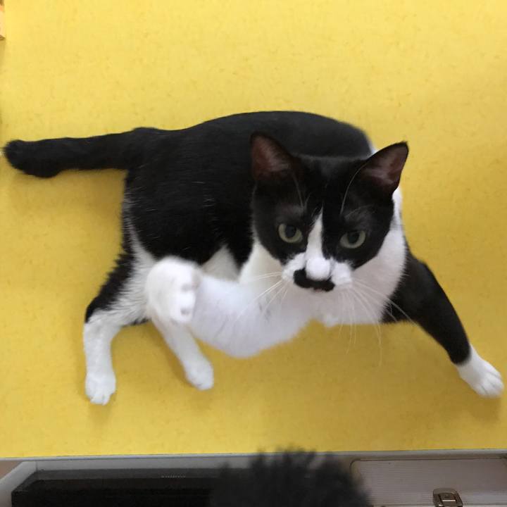 911e5398 998e 4d59 b742 6b94fbfc9adf