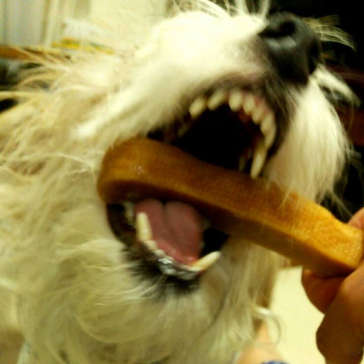 911f38b3 4ff4 4fb8 91f0 786f323ac6af