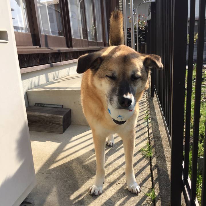 911f4b87 a3ad 4ab9 8024 e87d3854a262