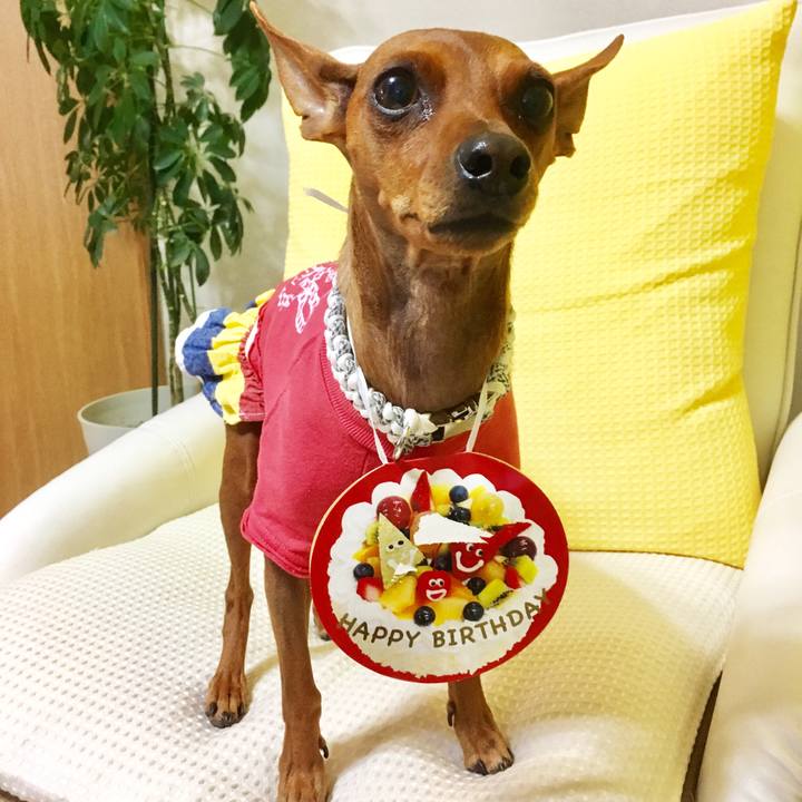 911fc400 c9af 4209 ae74 36cdabf98fc2