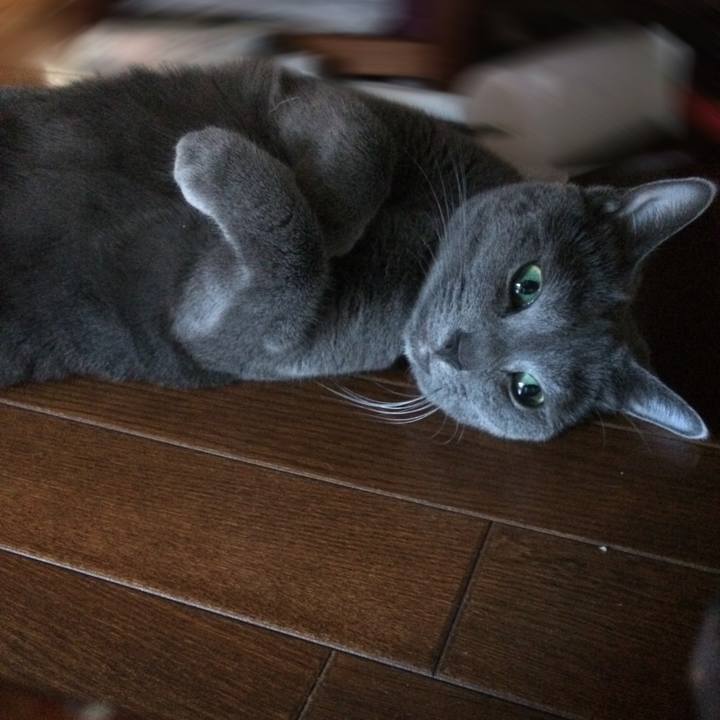 912074e9 9aff 4c8c 95ca 3d02f229c9c2