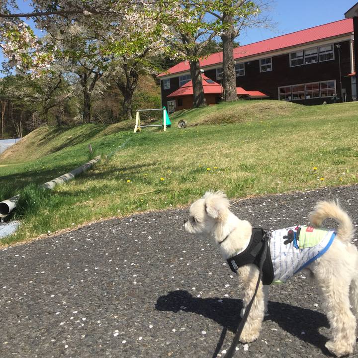 91217218 1669 48d9 bf0d 8bde00409997