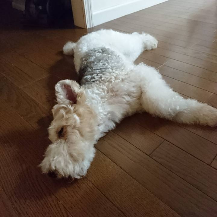 912258fc 2ec7 46b1 964e 000e9bd2c6f5