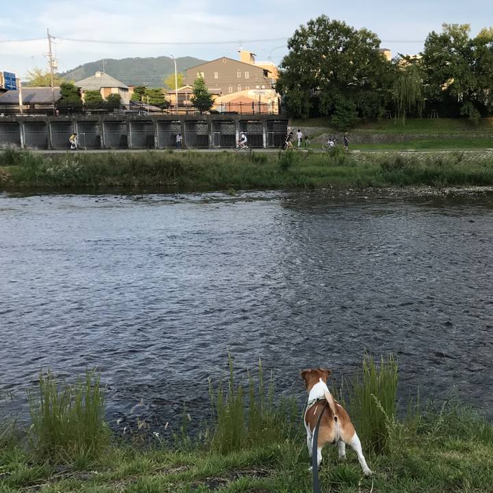 91227694 8910 4b12 99de 563d4023c796