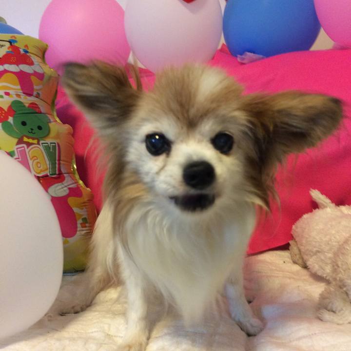 912285c7 f91a 434e b7c1 841c06dbe96c