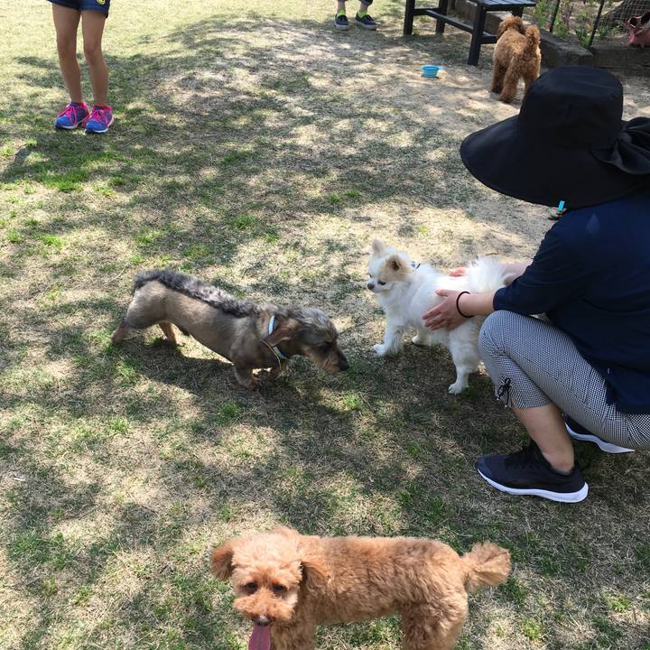 91232ec2 0227 4832 a2f7 01fcb3187a6d