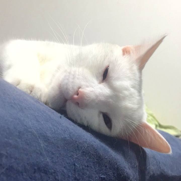 912354f5 b190 40db b010 d2e00ddf6905