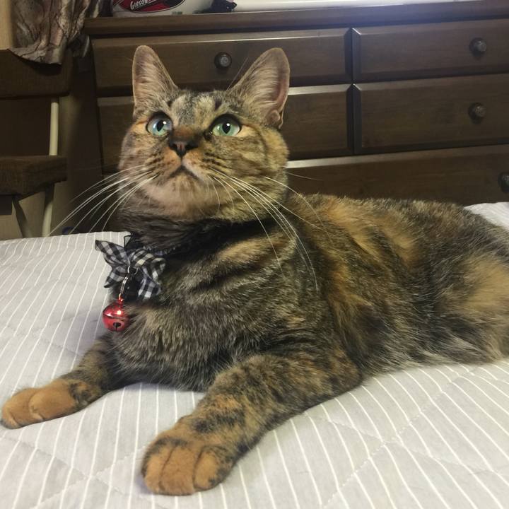 9123d496 b46b 44e3 83c8 82f454643aaa