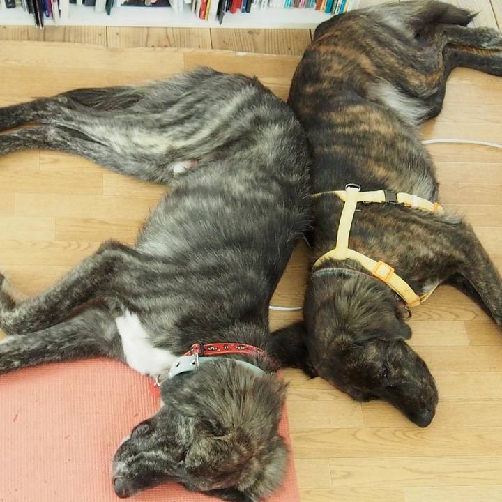 9124cc98 8223 4aea b8c9 312f0759a134