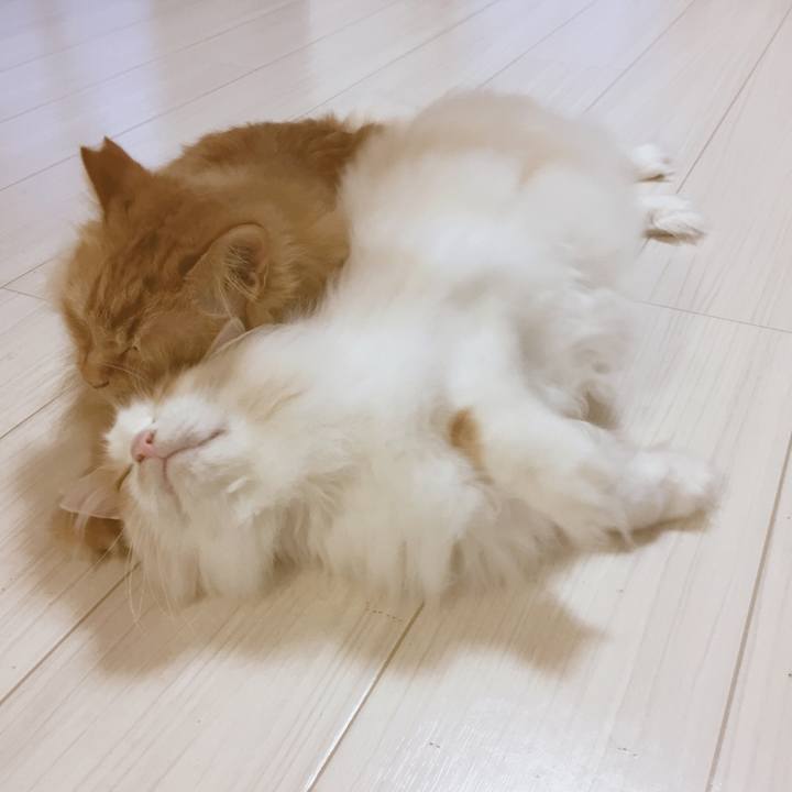 9124dc46 6e62 43dd bd81 5474bcc94bf5