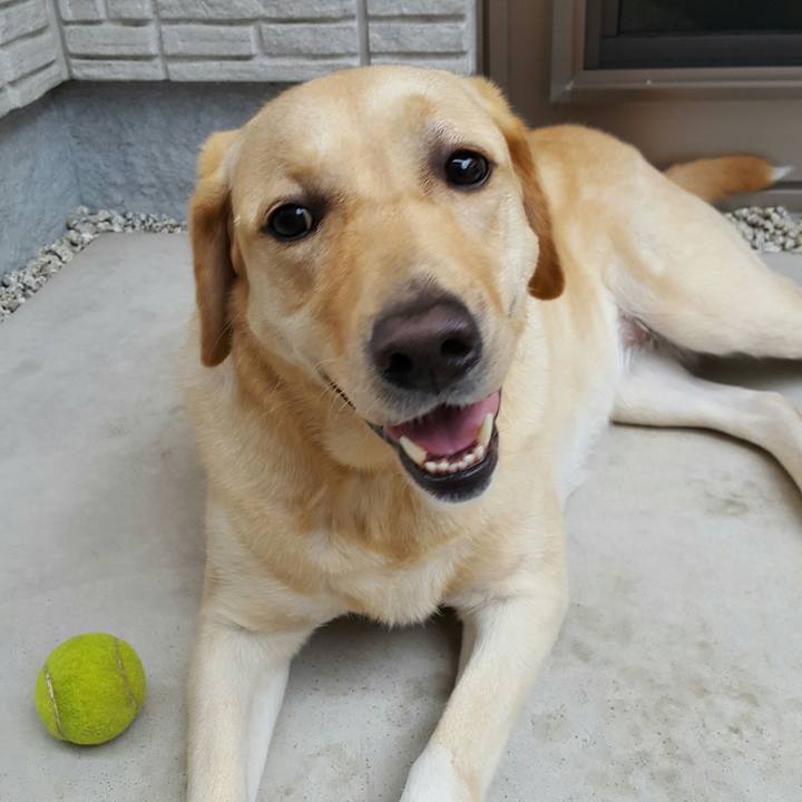 91250ef8 b64a 4933 8e17 572e2f08af4d