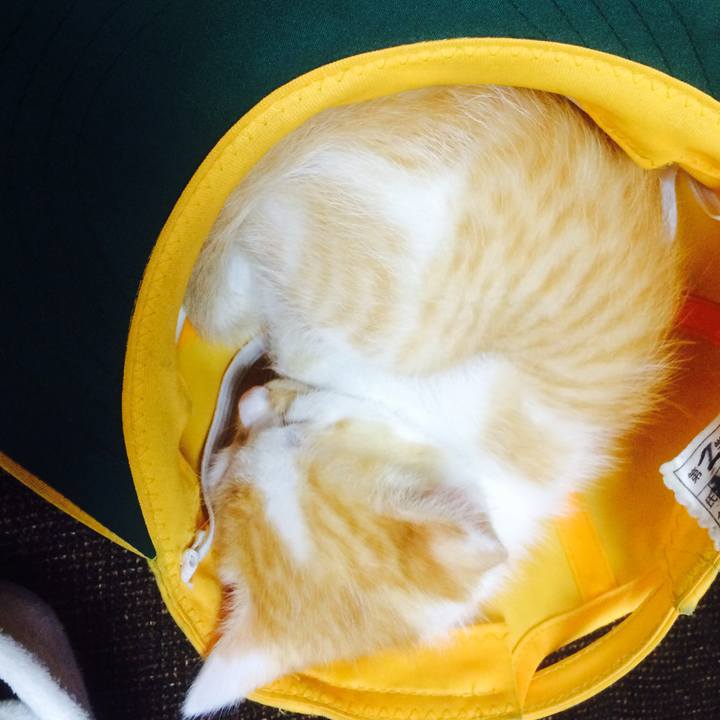 9125bd64 5db1 4e4f bb26 a510a43ddb5b