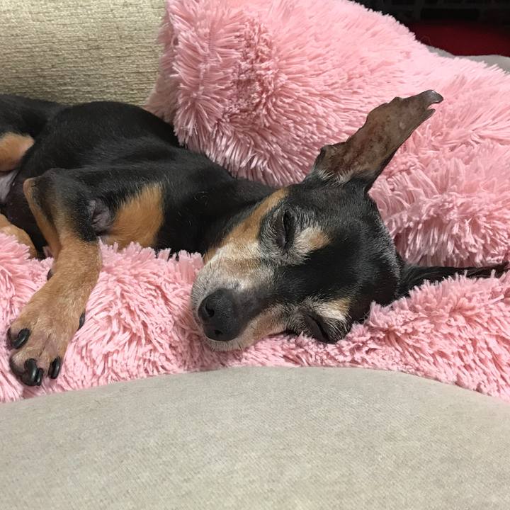 91260f1f 2237 4743 aaa5 083a922af2f0