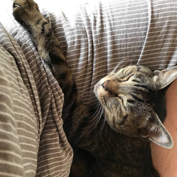 91260fe6 1307 45e0 abb8 b2f4c4f4134f