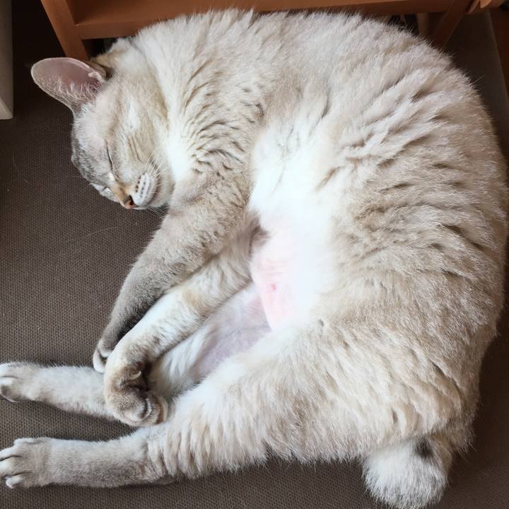 91263f54 23a7 4c82 a92f 4a4178cd836a