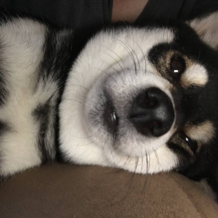 9126900b 446b 41d3 aae1 b6bfae6c9f33