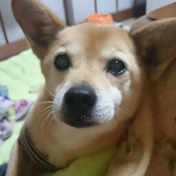 9126ba28 8c6a 4c1c 9a35 21d491e26f64