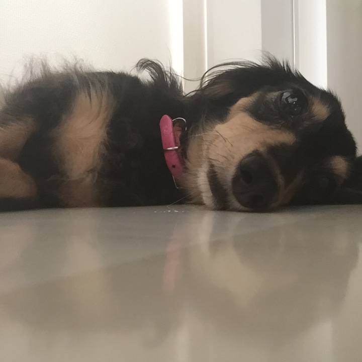 9126de9d c587 4aff 8a75 52c5f587cd5a