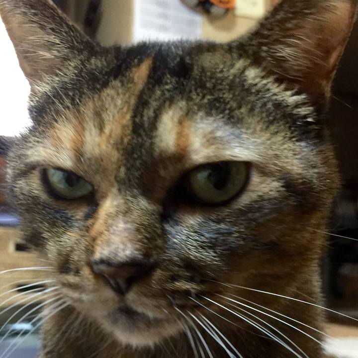 9126e9c9 49f7 4be5 a5f2 6921ef3b70ce