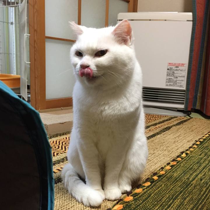 9127f397 b9ad 44b7 adb8 03e7ee9e8ce9