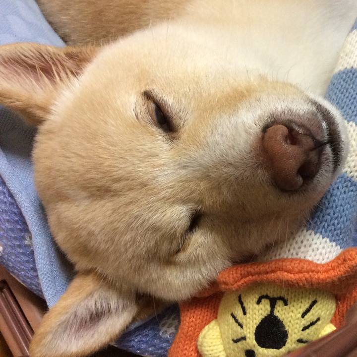 91280868 ab8b 4f21 91b0 bac2b076618e