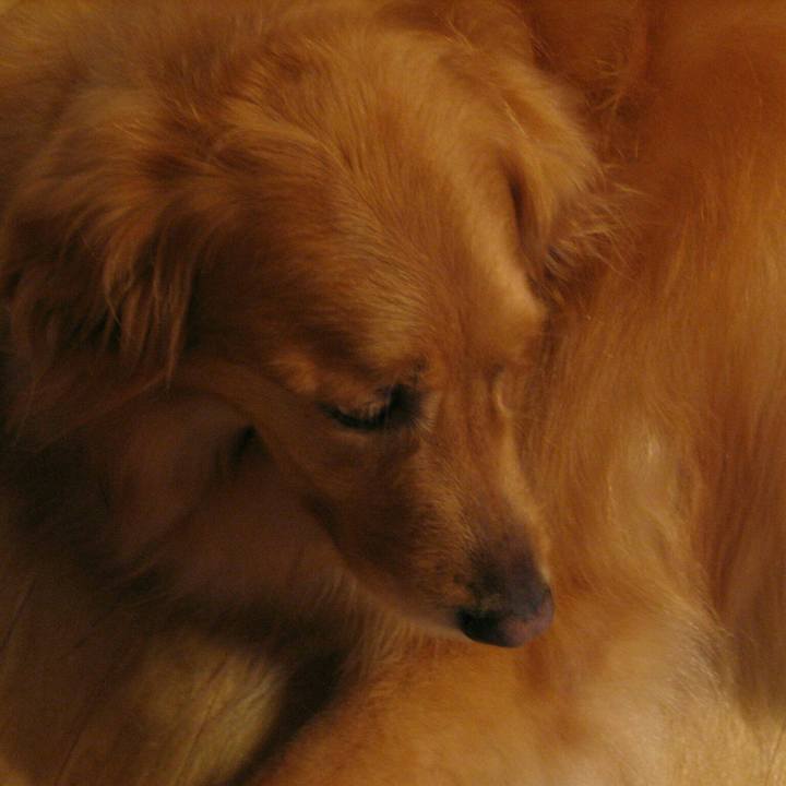 91283c70 6128 4c04 b76a df9d858c904a