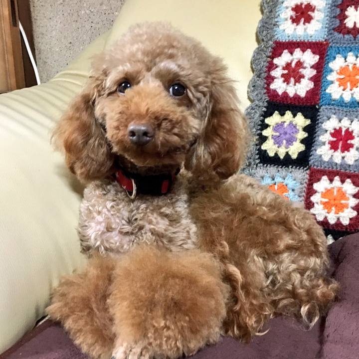 9128452a e2a0 46f5 a8df 1396c1e9f1af