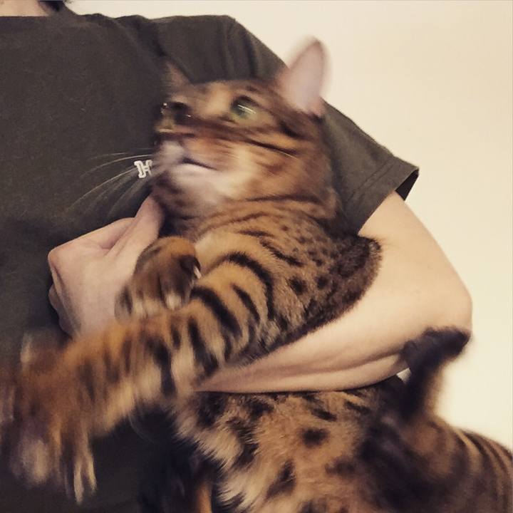 9128a7f6 9b6f 4425 82cb d839c3448e38