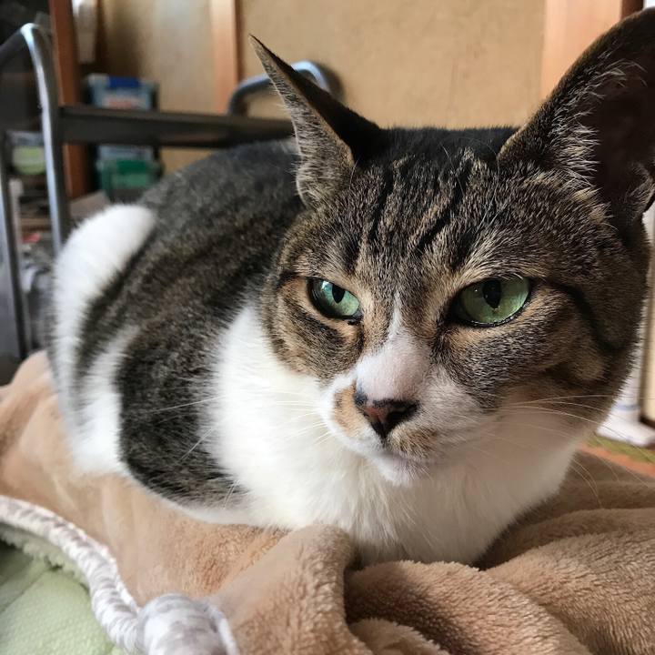 9128fd48 675d 4a79 b68e d353e004b3b7