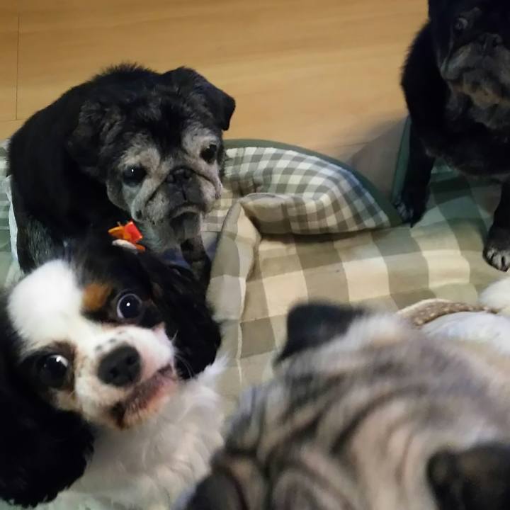 91290c5f 3b03 4d17 a259 4f70e838a894