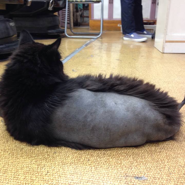 91297b7f d6af 4584 94fa 518030c6316c