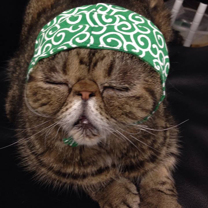 91299280 1b38 425b 88cf d828ef356186