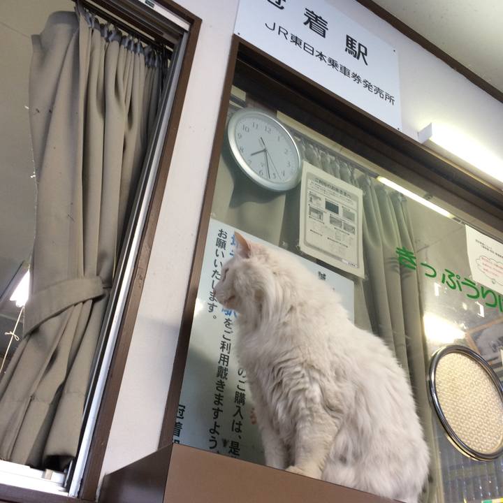 912aaa8c 1f91 4654 a3d3 77745b24c4de