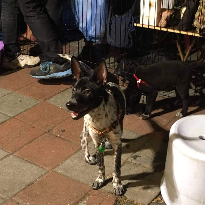 912ac178 32f0 4c99 a543 045aa9f7bfb1