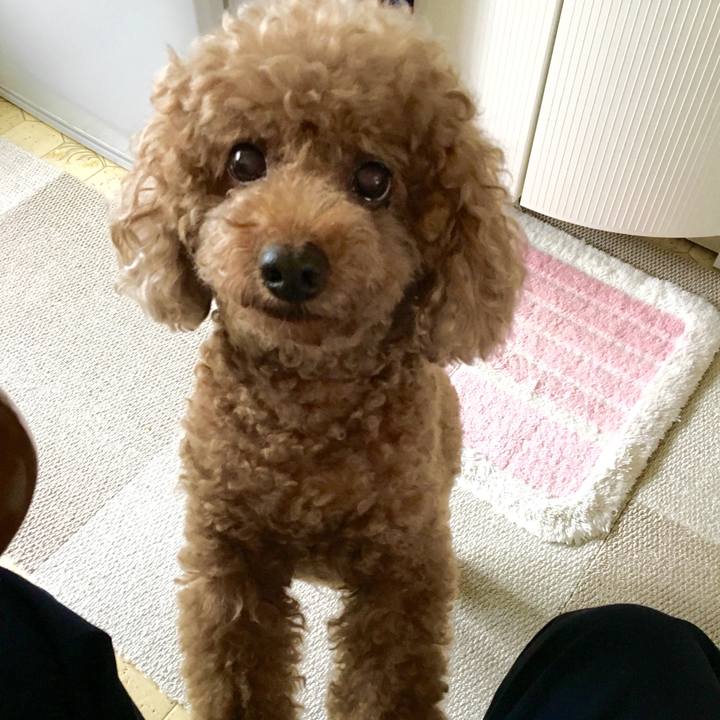 912ac3d1 8bf2 45d3 9e8a ca1292aecdc6