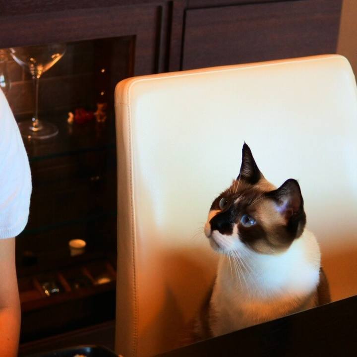 912b51ef e104 46c2 8db1 96ce0ffb66e9