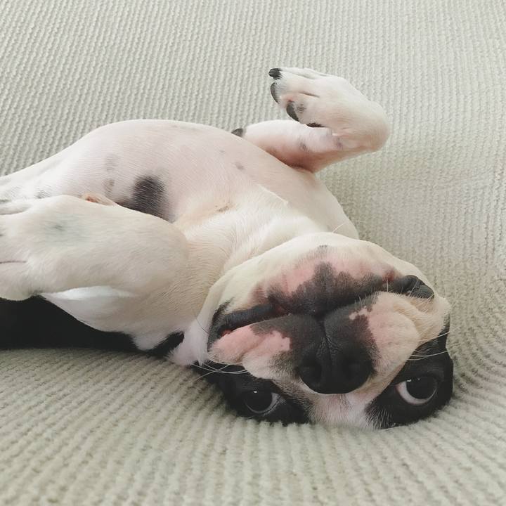 912bcaa9 6fc2 405e a0d8 df84c16ee26a