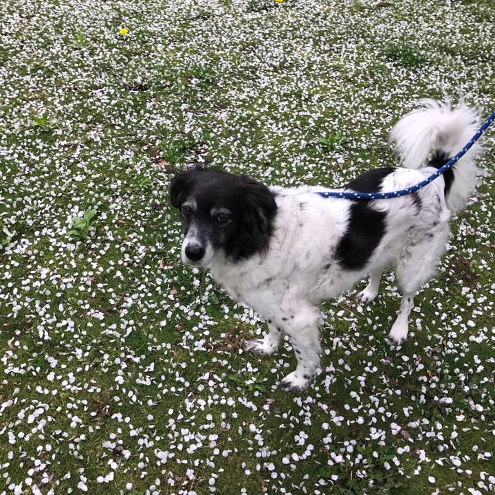 912bfe49 9ee6 4aaa b4f7 75d1532c36a2