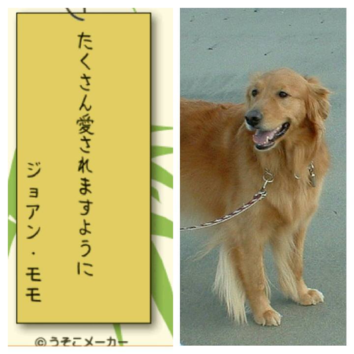 912c851a 7cc1 4365 9e59 79dacb980d99