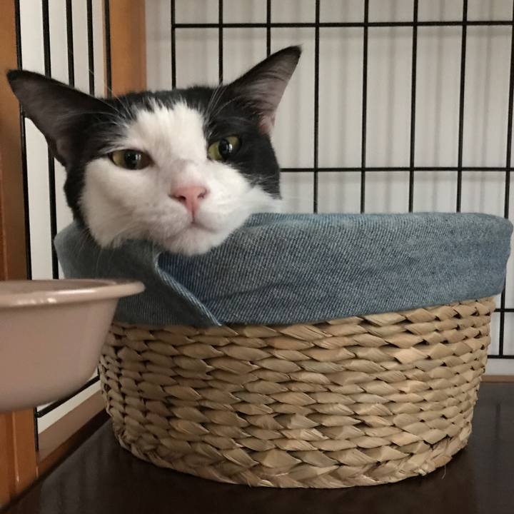 912cba7f 2fd3 4ae0 8fdc c4b9a9853986