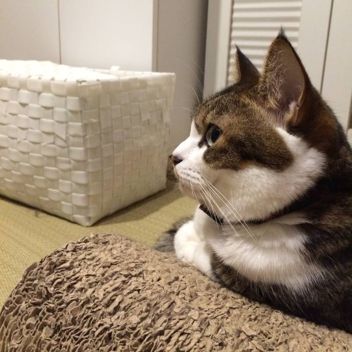 912cd491 35ca 4ed9 bb6c 2d1e223aa302