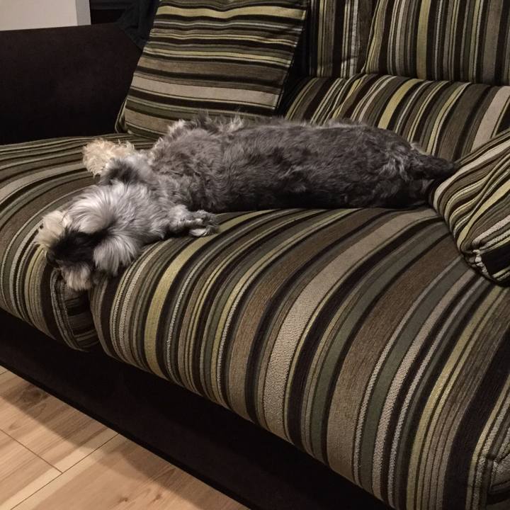 912d6fcf 8c36 4453 823c acc1ed3214b6