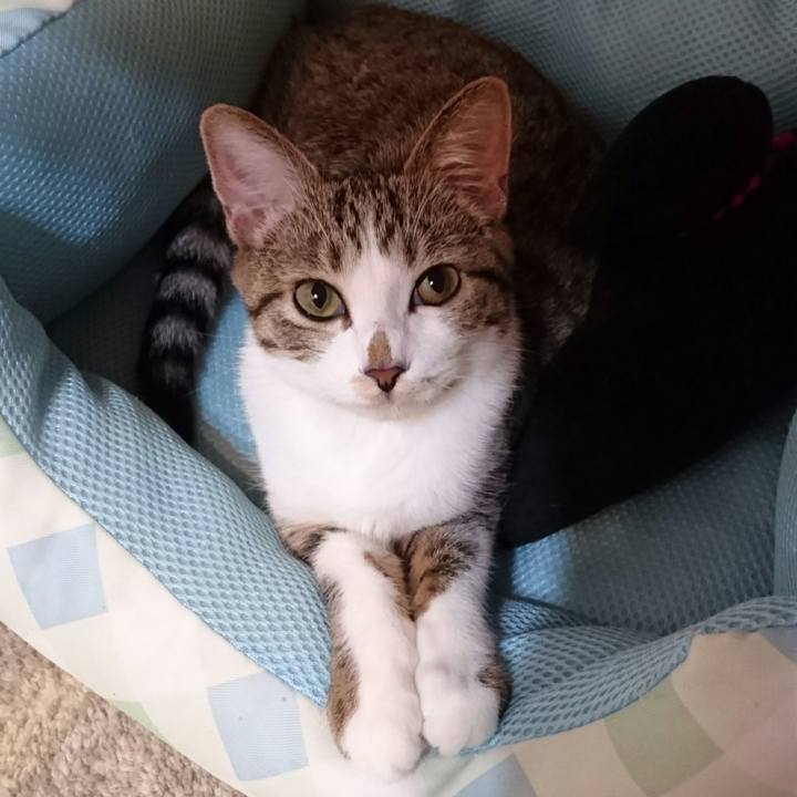 912da9f4 352c 48cc b943 79e92feecbff