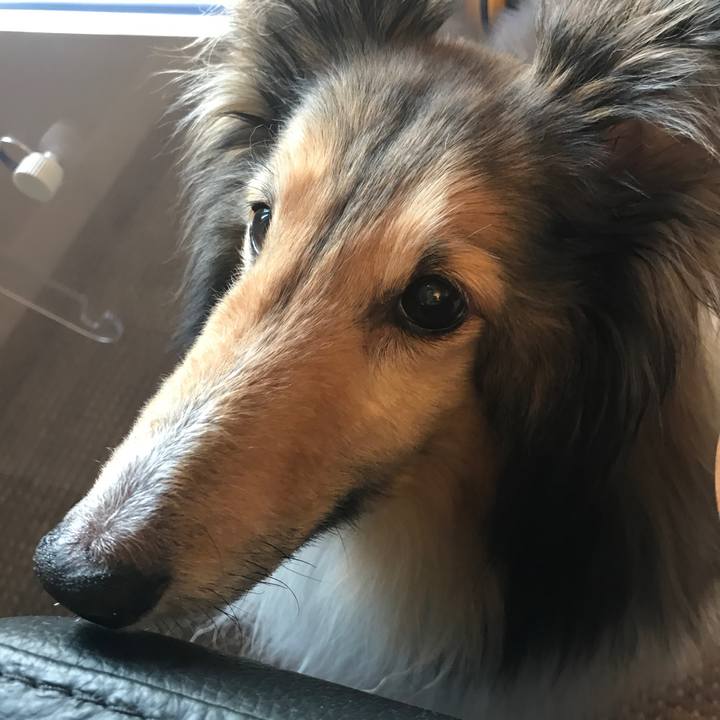 912dd0f4 3e80 4422 98c6 1d879add1477