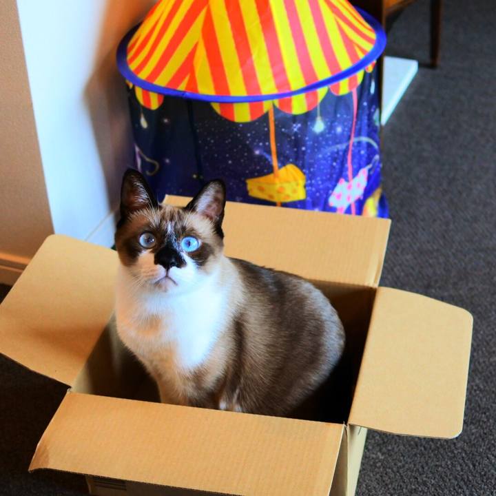 912f4775 8562 44a1 98f8 915176f39d68