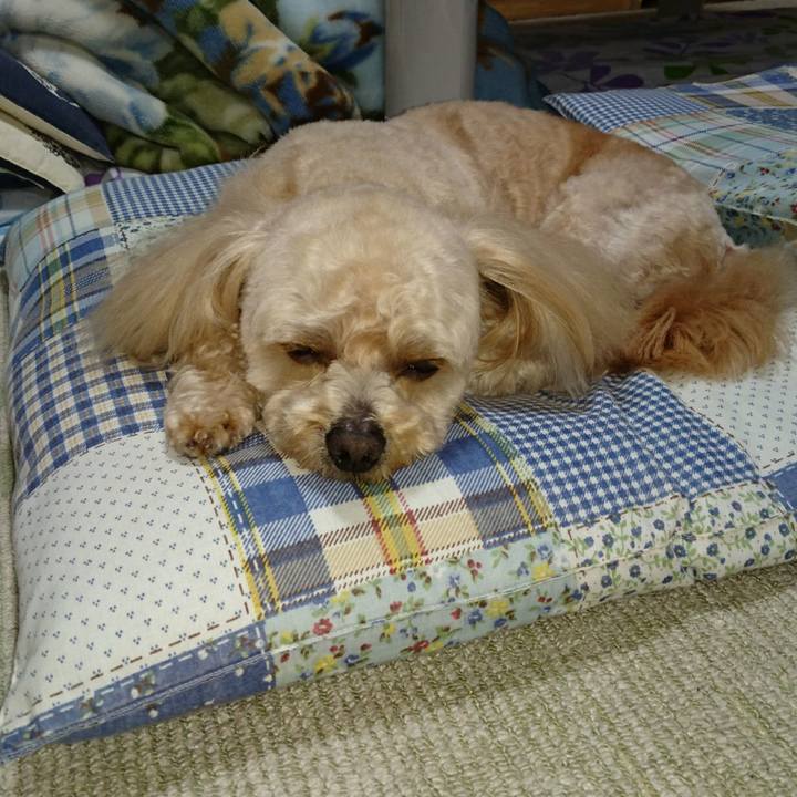 912f64bd 15d3 4f82 b9e7 1c652212999f