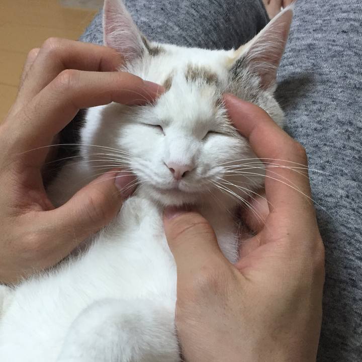 912f8db4 afc5 4fb4 b82a f4ea79a07fe2