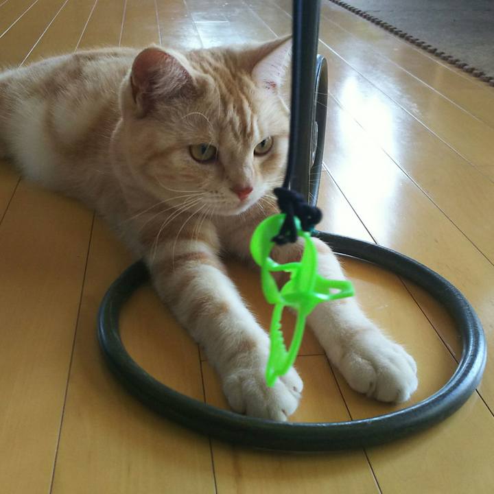 912f9d52 e348 4faa b493 9de6a84fc5c0