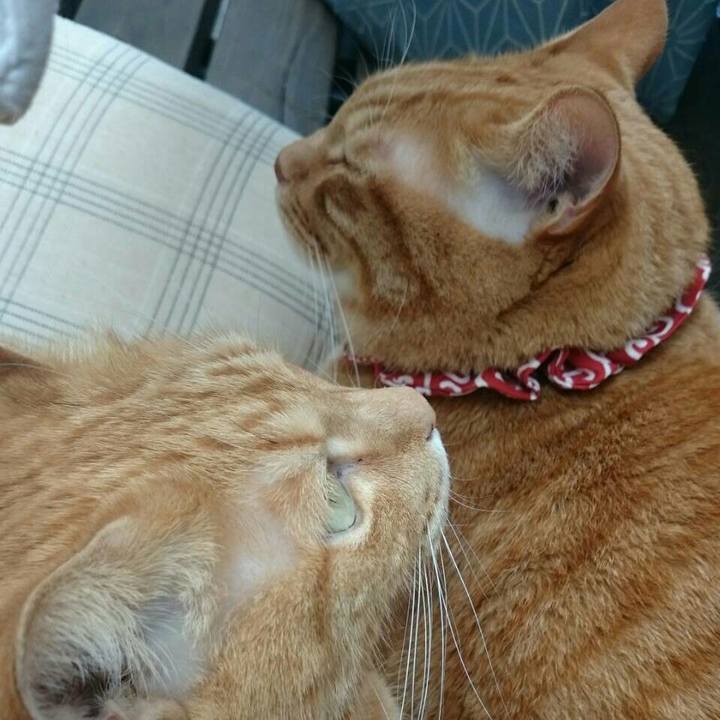 912fadd7 88be 43db 9fba 7569a4a16d20